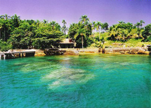 Ilha Comprida de Fora em Paraty