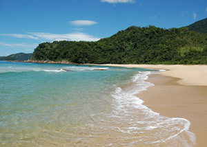Praia Brava em Trindade