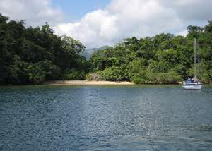 Praia do Bar da Cotia Maior em Paraty
